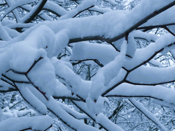 Grudniowy town hall&nbsp;meeting